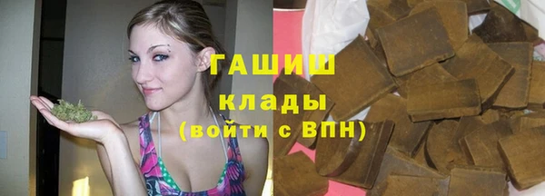 стафф Коряжма