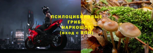 ALPHA-PVP Козельск