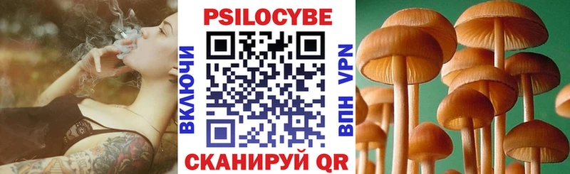 Купить закладки  Перевоз  Галлюциногенные грибы прущие грибы 